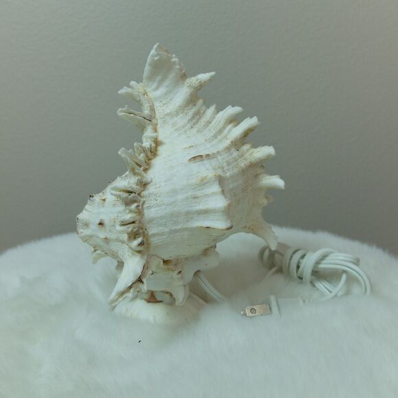 Seashell Lamp Night Light NWOT - Picture 7 of 10